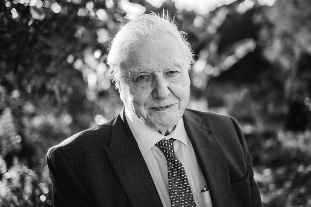 Portrait of Sir David Attenborough at Clare College in Cambridge.