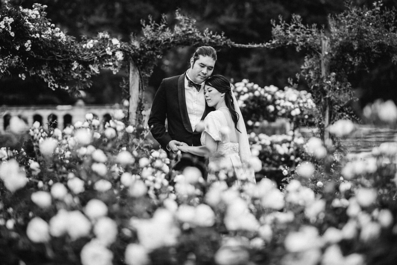 Black and white wedding photo of a couple in the rose garden at Longstowe Hall in Cambridge.