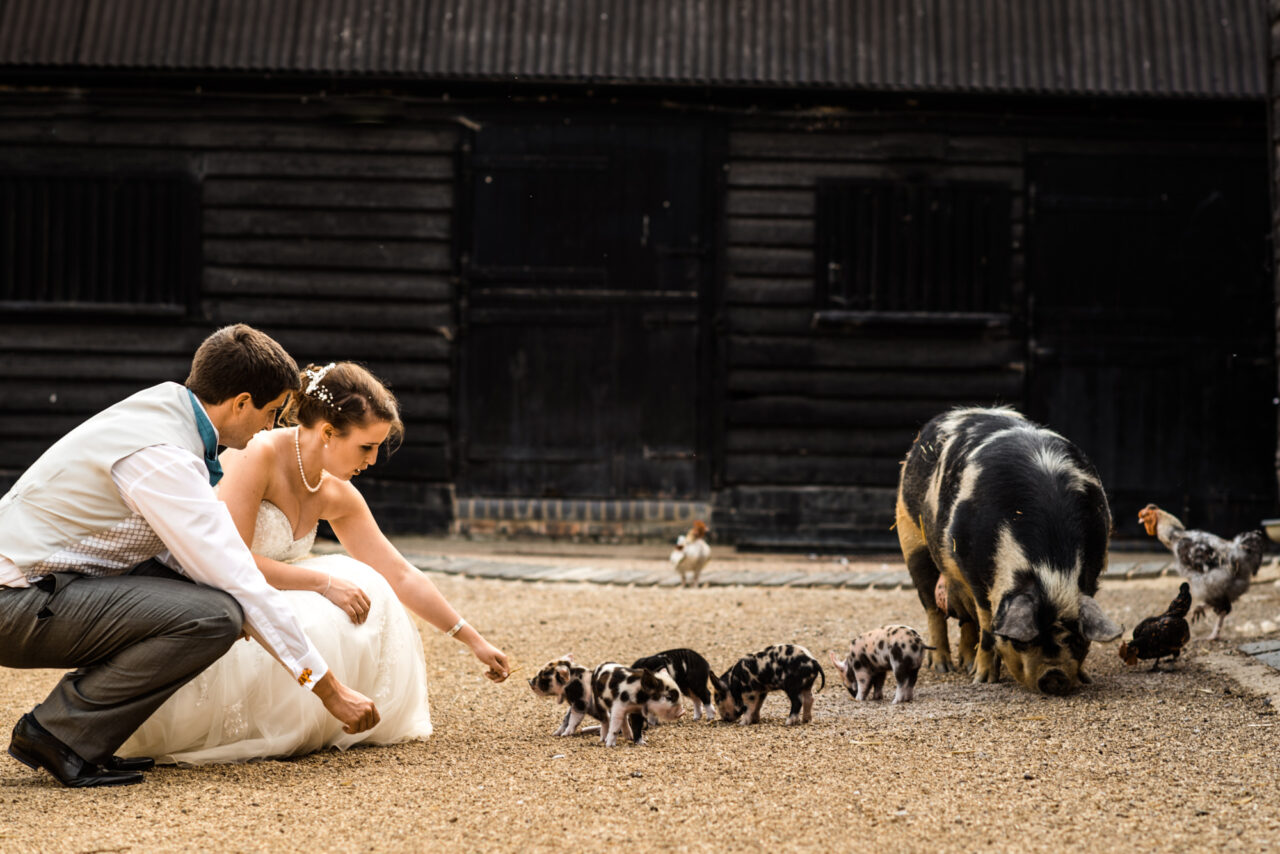 South Farm Wedding Photography