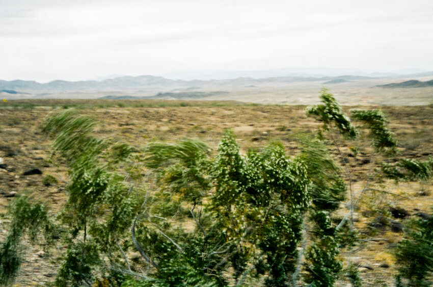 Windblown shrubs and distant mountains in the Nevada desert, an atmospheric setting for an elopement near Las Vegas, photographed on 35mm film.